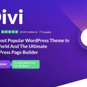 Divi Theme Pro WordPress WordPress Lifetime Original License Activation
